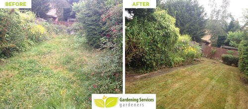Harringay花园清洁服务N4